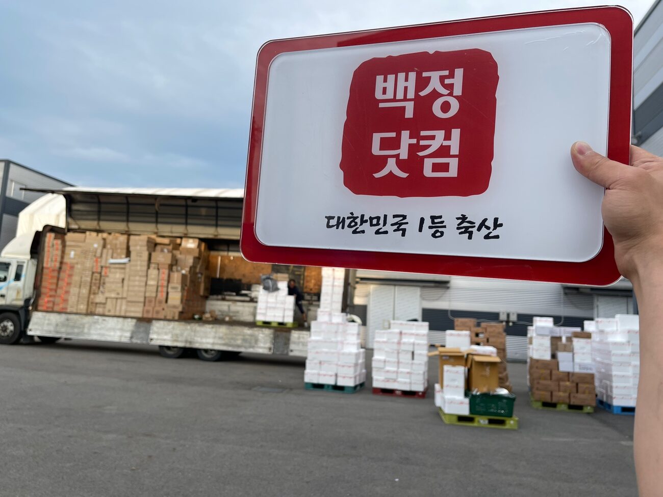 백정닷컴 대량 출고 현장
